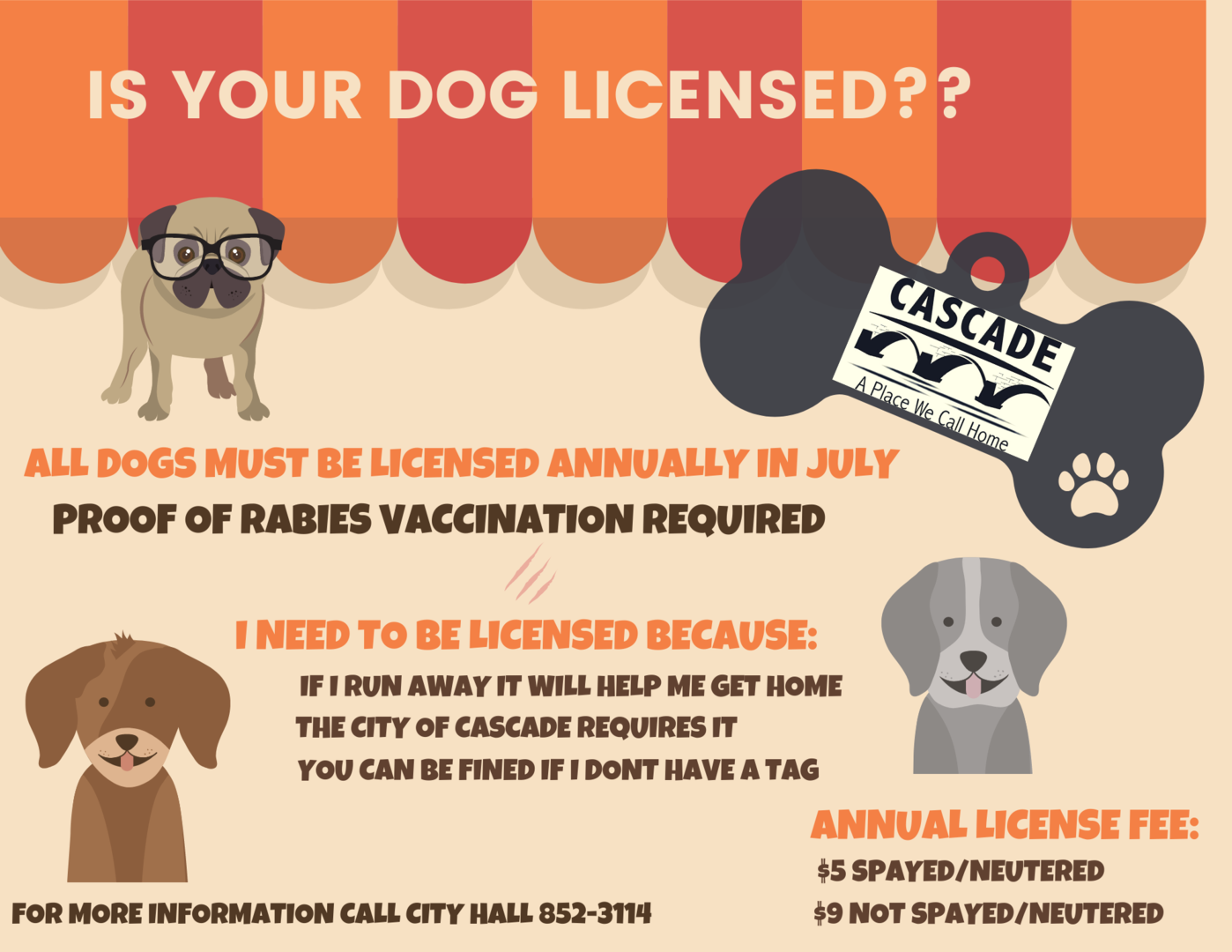 What Do I Need For A Dog License
